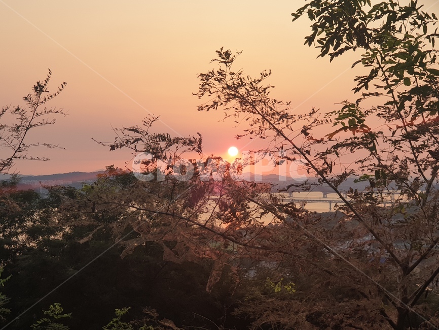 자연,옥외,일몰,황혼,붉은하늘,outdoors