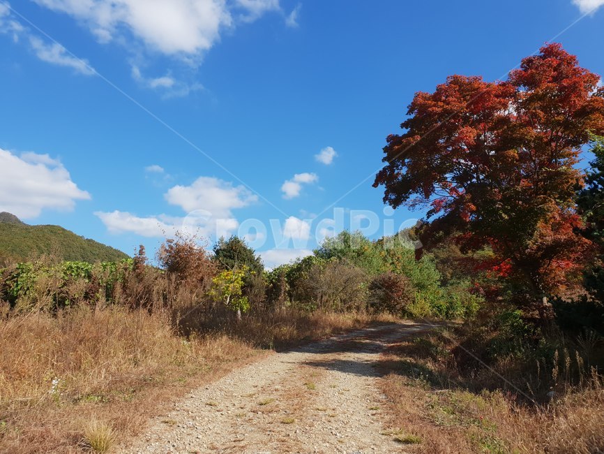 가을,풍경,산책길,자갈,흙길