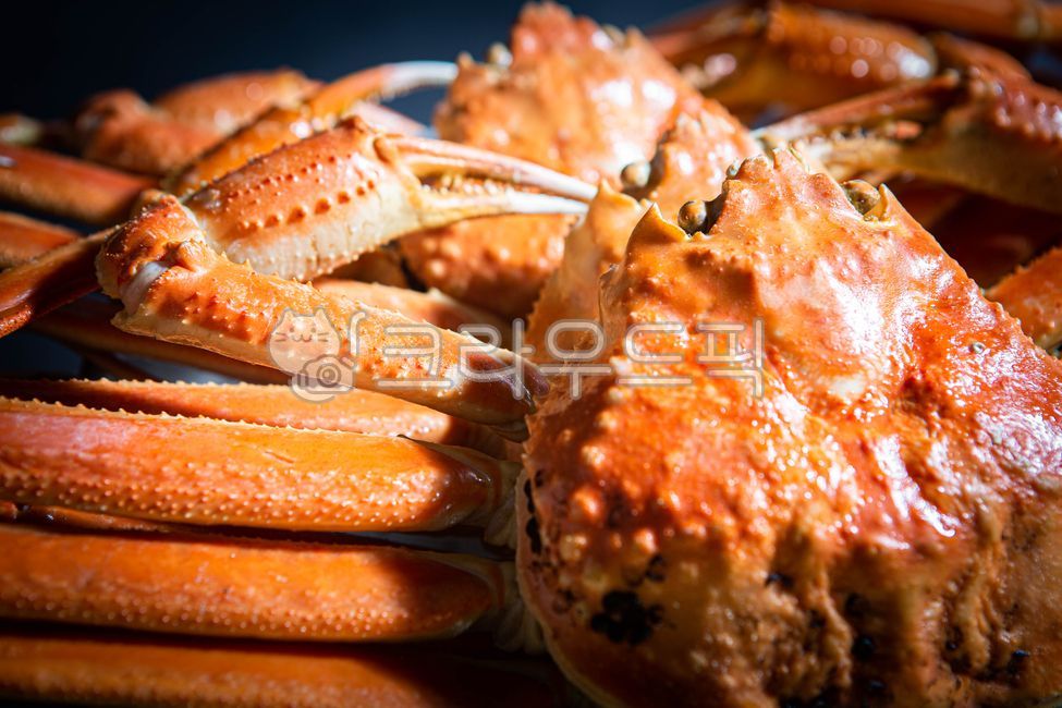 러시아대게,대게,홍게,킹크랩,대게찜,홍게찜,영덕대게,동해안대게,음식,식재료,요리,food,cook,meal,dishes,food reserves