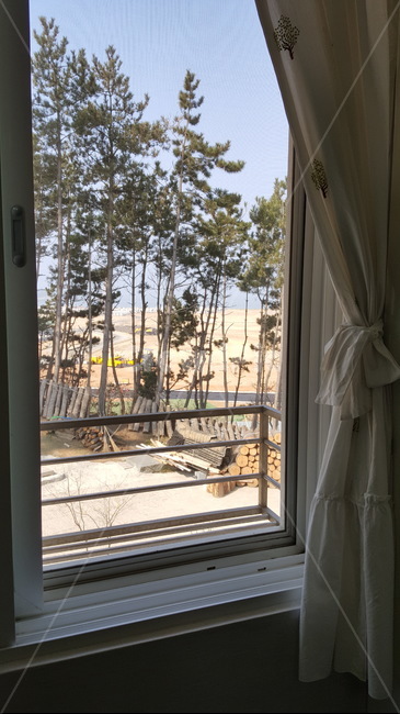 바닷가,창밖,창문,소나무,모래사장,공사,커튼,자연,풍경,nature,landscape,home decor,가정 장식,window