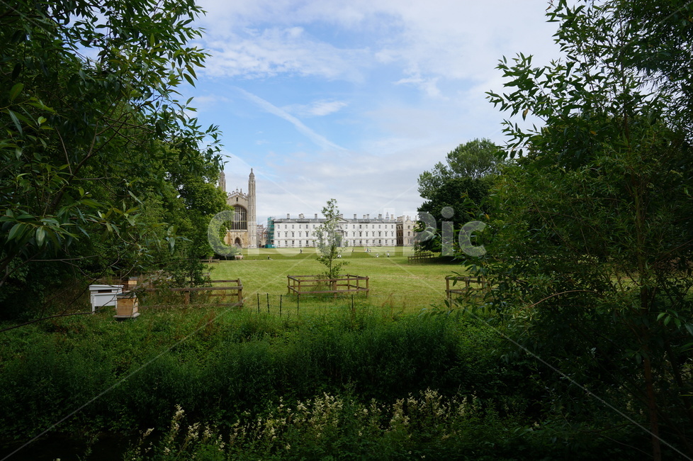 캠브리지대학교,영국캠브리지대학교,아름다운캠퍼스,잔디,공원,park,grass,cambridge,campus,greengrass