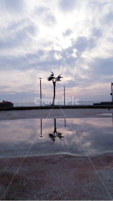 노을,밤,하늘,sky,바다,sea,서해,산책,반사,물,water,웅덩이,야자수,자연