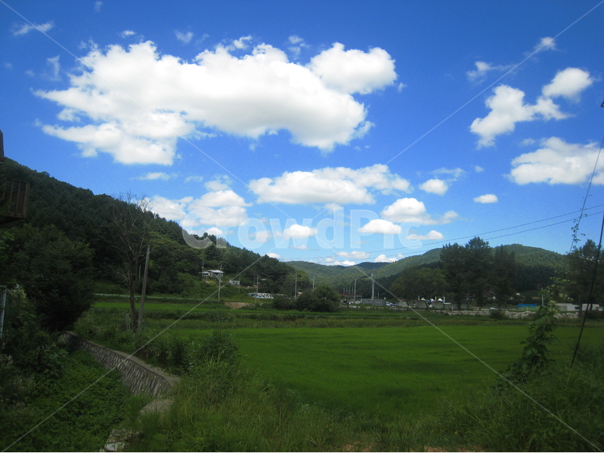 시골,논,하늘,구름,나무,산,파란하늘,흰구름,파랑,녹색,rural,sky,cloud,mountain,blue,white,green,tree풍경,scenery,Landscape,자연,풍경,nature,landscape,outdoors,옥외,weather,날씨,field,들,grassland,목초지,cumulus,적운