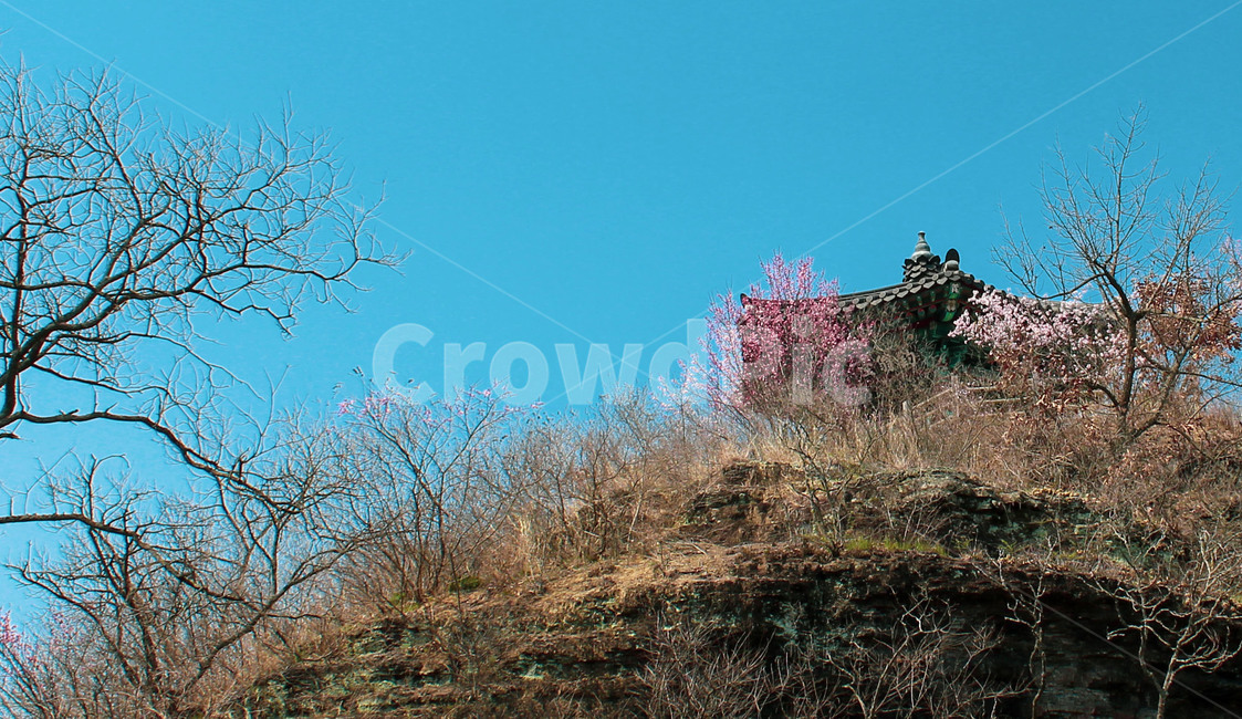 정자,풍경,자연,nature,편안한,평화로운,봄,절벽
