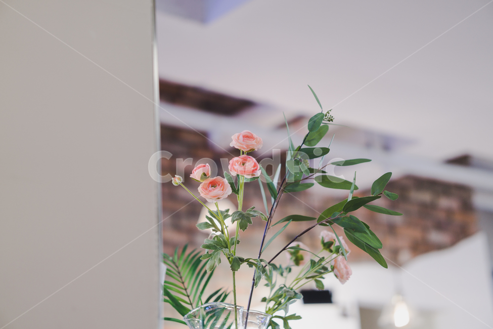 plant,식물,flower,blossom,꽃,flowerarrangement,꽃꽂이,ikebana,장식