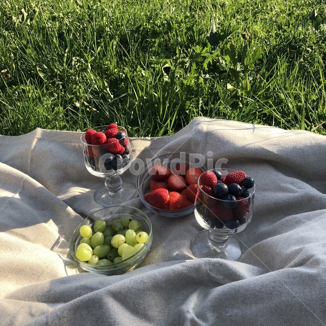 피크닉,돗자리,딸기,블루베리,포도,들판,자연,감성