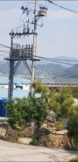 전선,소나무,변압기,산,파란지붕