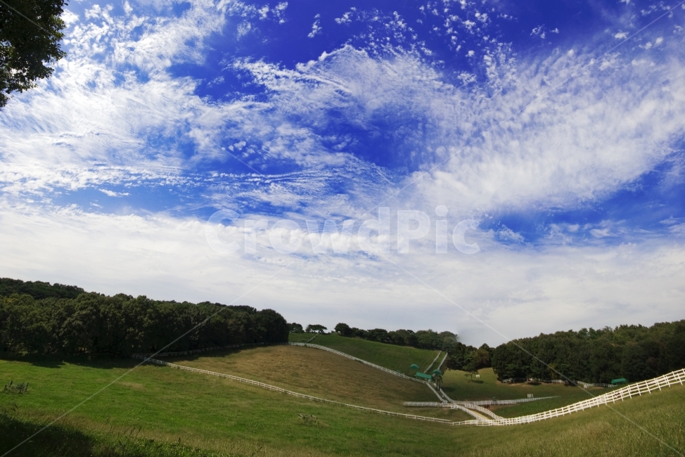초원,풀,나무,울타리,하늘,구름,푸른하늘,광각,풍경,view,light,landscape,sky,자연,풍경,nature,landscape,outdoors,옥외,field,들,grassland,목초지