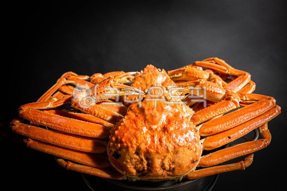 러시아대게,대게,홍게,대게찜,대게장,대게살,대게요리,해산물,음식,식재료,요리,food,cook,meal,dishes,food reserves