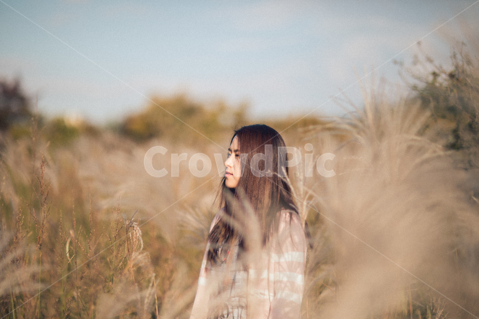 억새,가을,인간,사람,식물,여자,silvergrass,fall,autumn,person,human,plant,woman,가을,계절,fall,autumn,season,사람,인물,인간,human,person,여성,여자,woman,female,lady