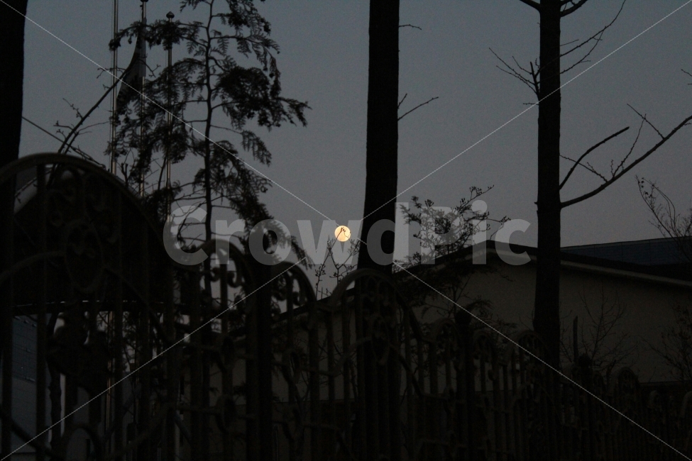 달,자연,풍경,밤,dslr,자연,풍경,nature,landscape,야경,밤,nightscape,night,outdoors,옥외,outer space,대기권 밖,astronomy,천문학,universe,우주,moon,space