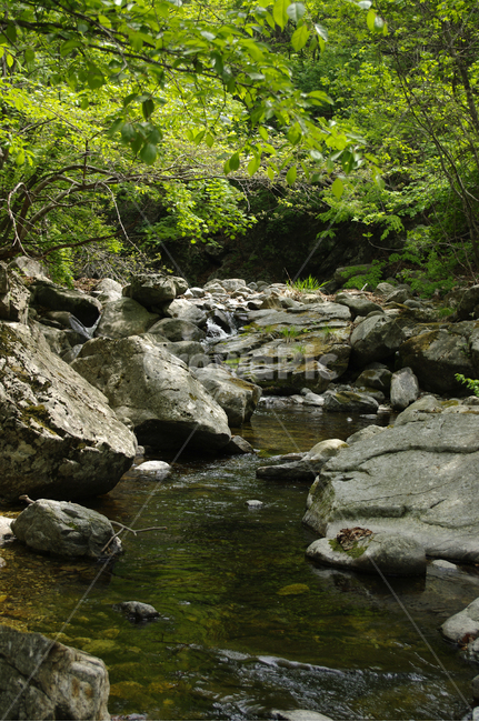 바위,냇물,강,돌,강물,자연,풍경,nature,landscape,water,물,outdoors,옥외,stream,흐름,creek,작은 만