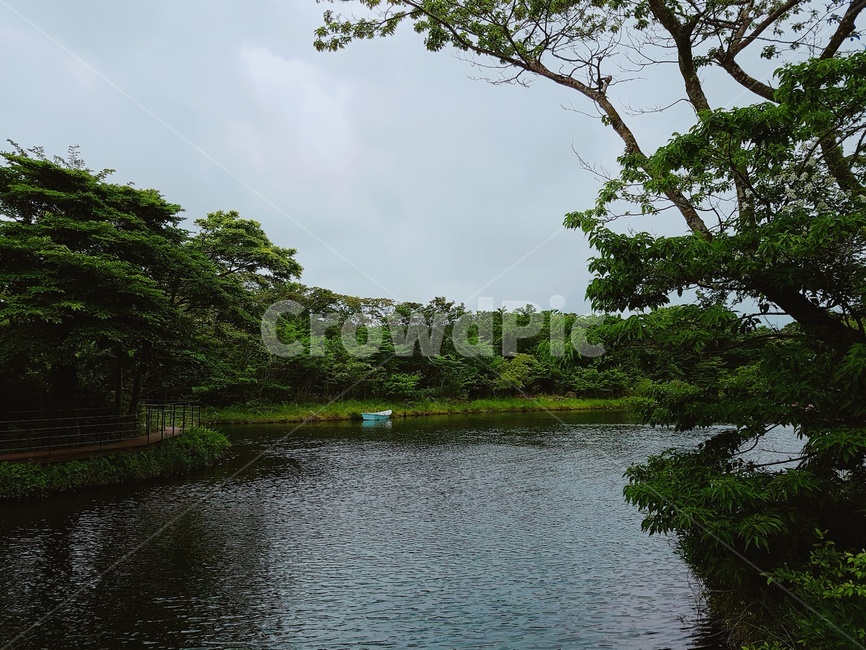 제주도,강,나무,풍경,하늘,제주도풍경,고화질,초고화질,자연,풍경,nature,landscape,water,물,outdoors,옥외,land,땅