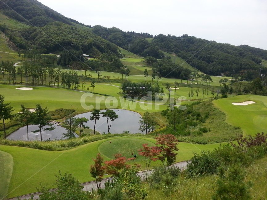골프장,골프,cc,golf,라운딩