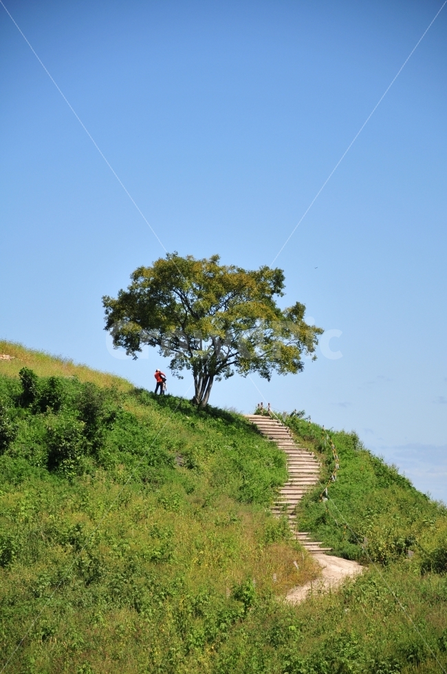 덕진산섬,민통선,나무,가을,하늘,바람,자연,풍경,nature,landscape,사람,인물,인간,human,person,grassland,목초지,outdoors,옥외,field,들,tree,plant,식물
