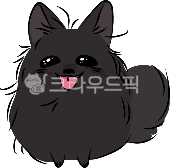 강아지,포메라니안,멍멍이,검은개,반려견,개,동물