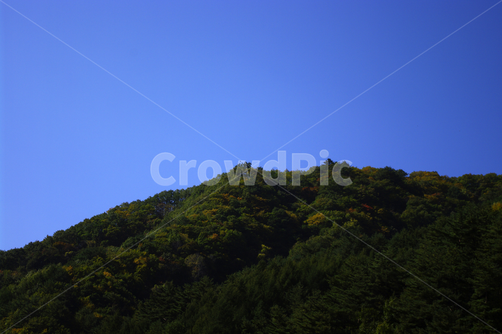 하늘,산,숲,나무,풍경,자연,풍경,nature,landscape,adventure,모험,leisure activities,레저 활동,slope,경사,outdoors,옥외