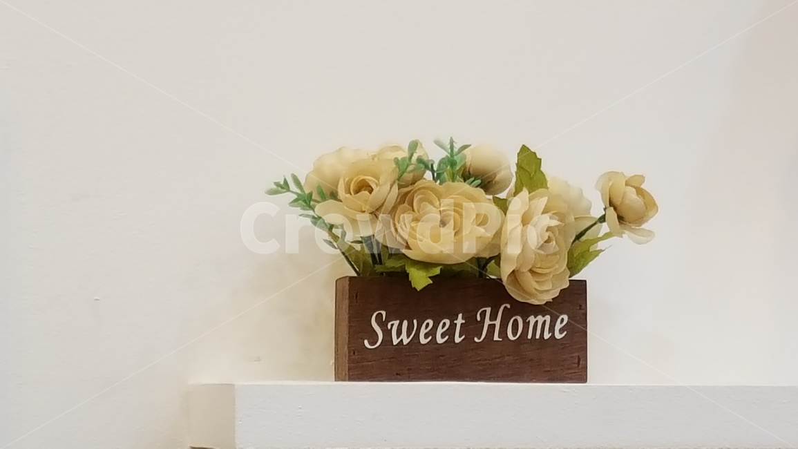 장식,인테리어,화분,벽장식,화분장식,꽃,flower,인테리어,실내디자인,interior design,사물,물건,오브젝트,thing,object,matter