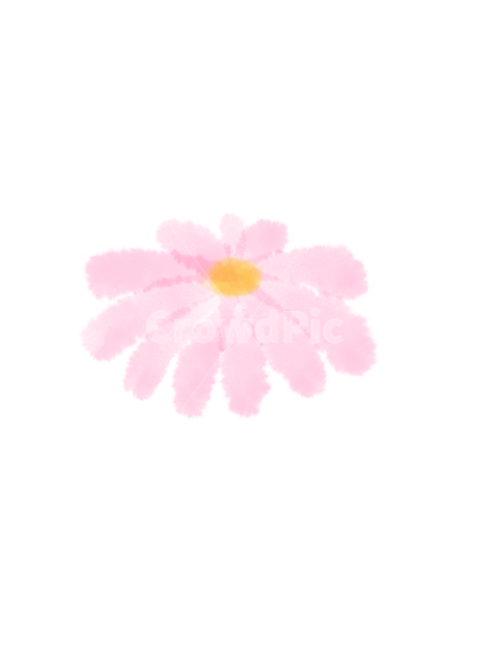 수채화꽃,수채화일러스트,물감꽃,물감일러스트,flowerillust,flower,flowerillustration,누끼,remove background