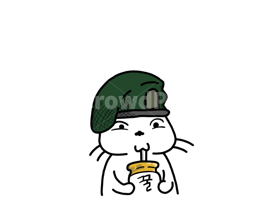 고양이,군대,귀여운,표현,표정,누끼,remove background,그래픽,일러스트레이션,graphic,illustration