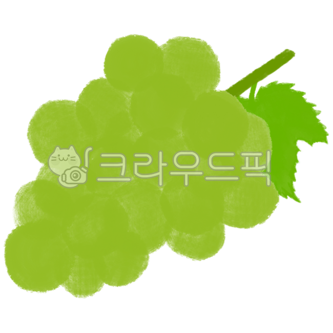 포도,포도일러스트,포도그림,포도이미지,청포도,청포도일러스트,청포도그림,청포도이미지