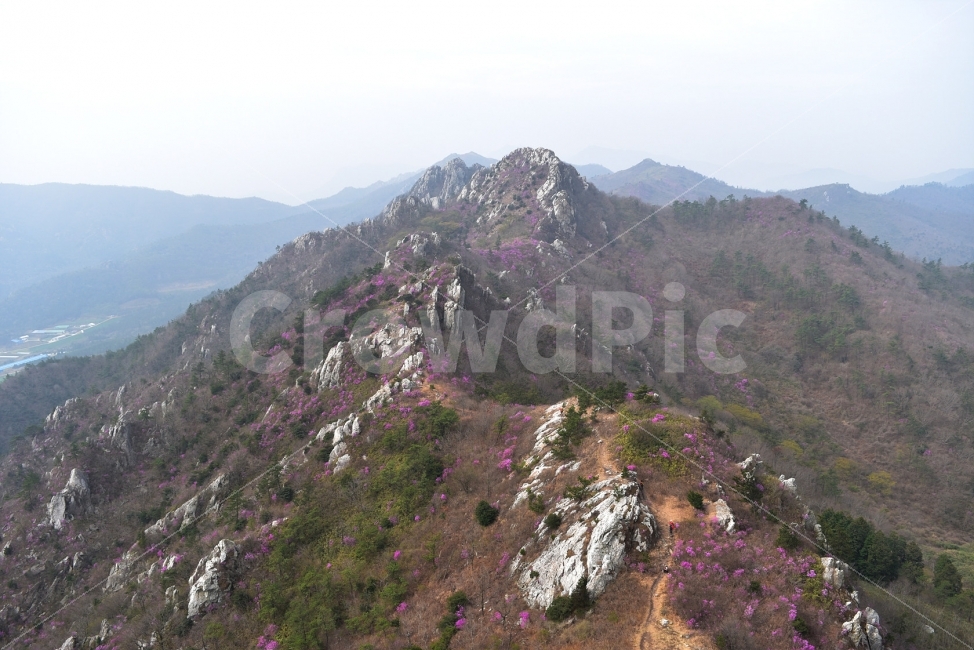 주작산,덕룡산,진달래,풍경,기암,바위,비경,봄풍경,분홍색,진달래꽃,강진,명산,산행,등산,마운틴,자연,풍경,nature,landscape,봄,계절,spring,season,outdoors,옥외,slope,경사
