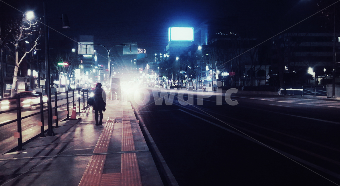 도시,감성,불빛,고독,도로,한복판,feeling,city,light,road,emotion,loneliness,lonely,solitary,lonesome,혼자,여자,자동차,건물,조명,보도블럭,밤,어둠,생각,풍경,야경,쓸쓸함,도시의우울,정류장,정거장,버스승강장,뒷모습,기다림,중앙차선,야경,밤,풍경,nightscape,night,landscape,도시,city,인물실루엣,사람실루엣,character silhouette,human silhouette,고독함,외로움,쓸쓸함,우울함,슬픔,lonely,solitary,pedestrian,보행자,human,인간,person,사람,path,통로
