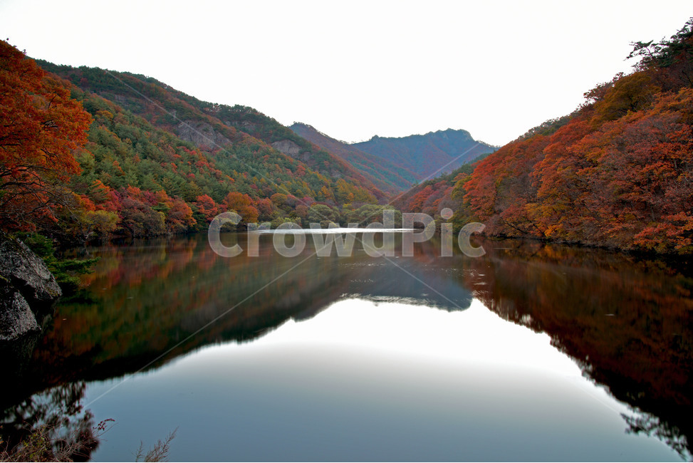 주산지,경북청송,청송,청송주산지,주산지단풍,주황산주산지,가을,계절,fall,autumn,season,자연,풍경,nature,landscape,한국자연풍경,한국자연경관,korea nature landscape,outdoors,옥외,water,물,mountain,산