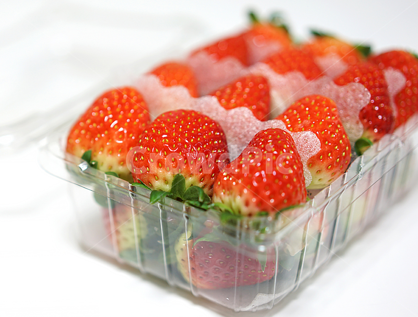 딸기,strawberry,과일,음식,겨울철과일,빨강,레드,red,베리,신선,스트로베리,음식,식재료,요리,food,cook,meal,dishes,food reserves,과일,열매,fruit
