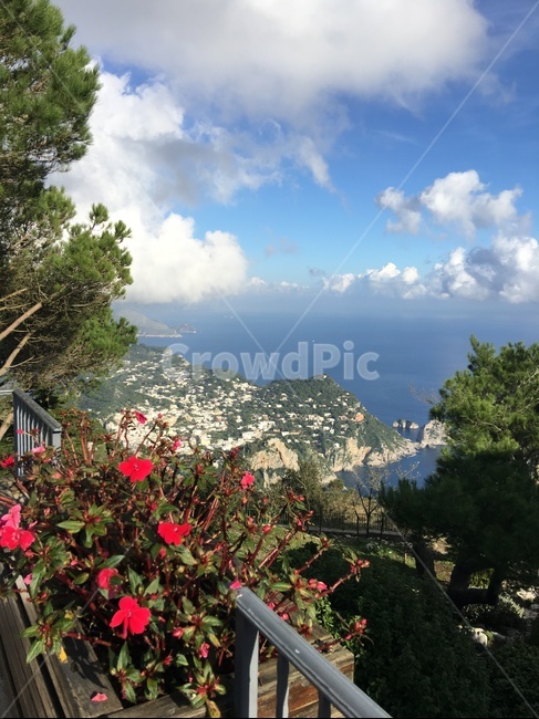 파란하늘,하늘,경치,풍경,야외,자연,nature,scenery,bluesky,sky,italy,capri,island,flower,꽃
