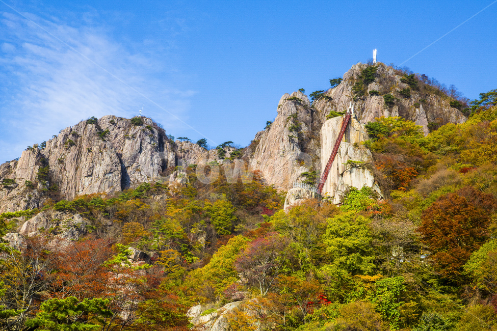 자연,풍경,산,대둔산,국립공원,계절,가을,추경,만추,단풍,단풍철,낙엽,울긋불긋,가을산,하늘,가을하늘,파란,파란하늘,정상,나무,잡목,outdoors,옥외,cliff,낭떠러지,nature,가을,계절,fall,autumn,season,자연,풍경,nature,landscape,한국자연풍경,한국자연경관,korea nature landscape