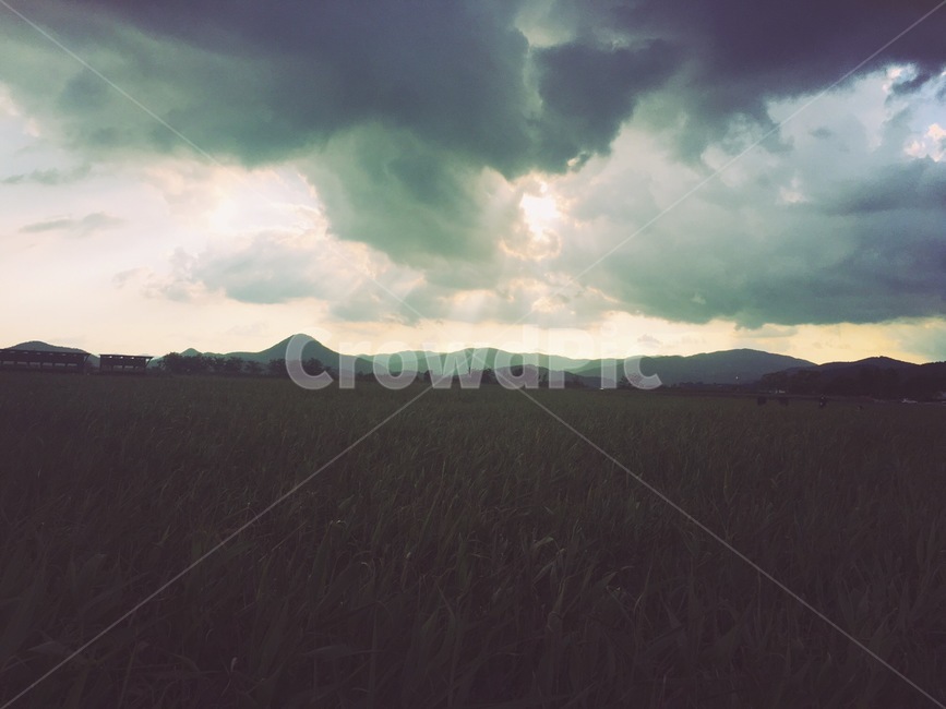 자연,풍경,하늘,구름,풀밭,자연,풍경,nature,landscape,outdoors,옥외
