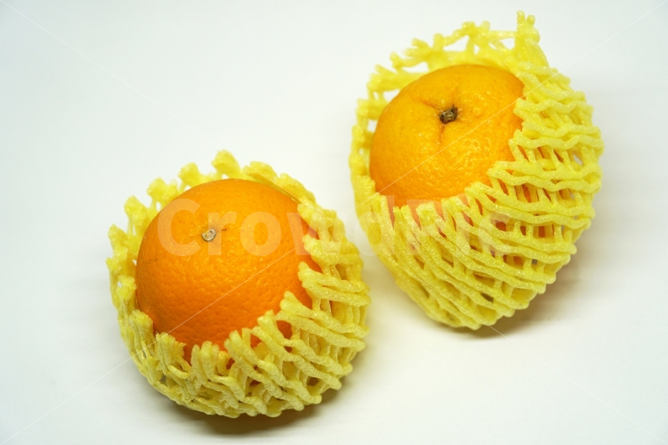 오렌지,누끼,과일,열매,orange,fruit,푸르트,디저트,식재료,cook,비타민,노랑색,노란색,생활용품,주방용품,음식,사물,물건,열대과일,누끼사진,오브젝트,object,요리,레시피,신선도,신선한,신선하다,싱싱한,싱싱하다,식자재,food,식품,dessert,meal,식물성,노랑,노란,yellow,vegetable,농작물,농산물,먹거리,먹을거리,먹을거,먹을것,음식,식재료,요리,food,cook,meal,dishes,food reserves,과일,열매,fruit,누끼,remove background