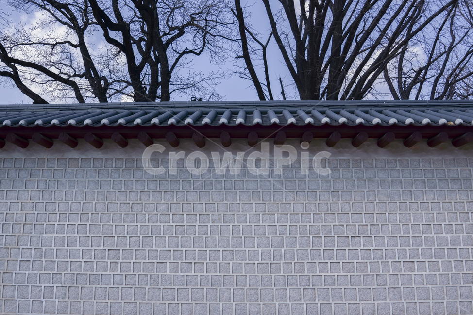 roof,지붕,덕수둥,deoksugung,고궁,koreanpalace,풍경,landscape