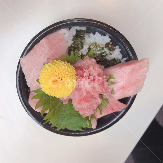 참치,참치회,마구로,플레이팅,회,일식,맛집,음식,뱃살,대뱃살,중뱃살,아카미,주도로,오도로,참다랑어,연어,덮밥,동,마구로동,돈,마구로돈