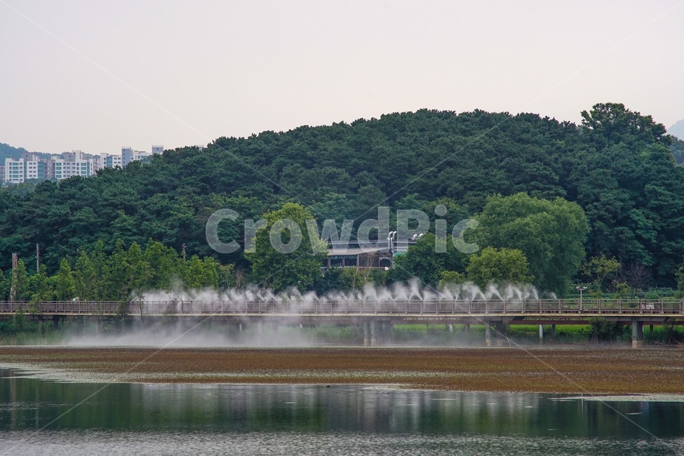 분수,분사,호수,레일바이크,반영,풍경,자연,풍경,nature,landscape,water,물