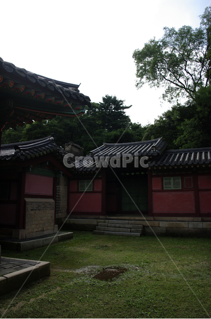 창덕궁,고궁,전각,한옥,전통가옥,기와지붕,건축,traditional,한국전통,한국문화,korean traditional,korean culture,건축물,건물외관,exterior,building,structure,architecture,construction