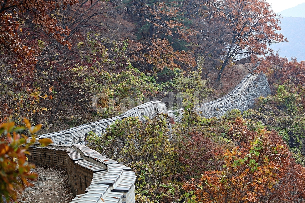 남한산성,성,성곽,단풍,낙엽,길,둘레길,숲,숲길,담,돌담,가을,자연,풍경,벽,울긋불긋,산성,식물,가을,계절,fall,autumn,season,한국전통,한국문화,korean traditional,korean culture