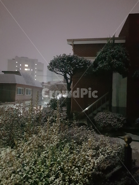 서울,새벽,눈,눈내린새벽,주택,겨울,계절,winter,season,야경,밤,풍경,nightscape,night,landscape,도시,city,한국도시풍경,한국도시경관,korea cityscape,nature,자연,outdoors,옥외,weather,날씨