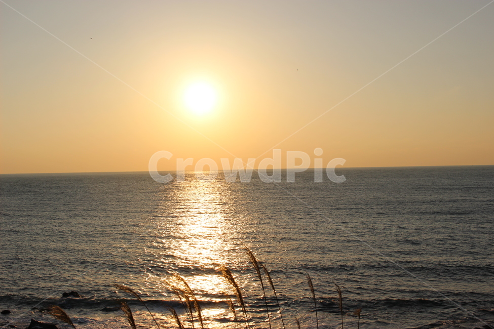 일몰,제주도,해질녘,바다,제주도일몰,노을,태양,자연,풍경,nature,landscape,sunlight,햇빛,outdoors,옥외,flare,플레어,light,빛,sky,하늘
