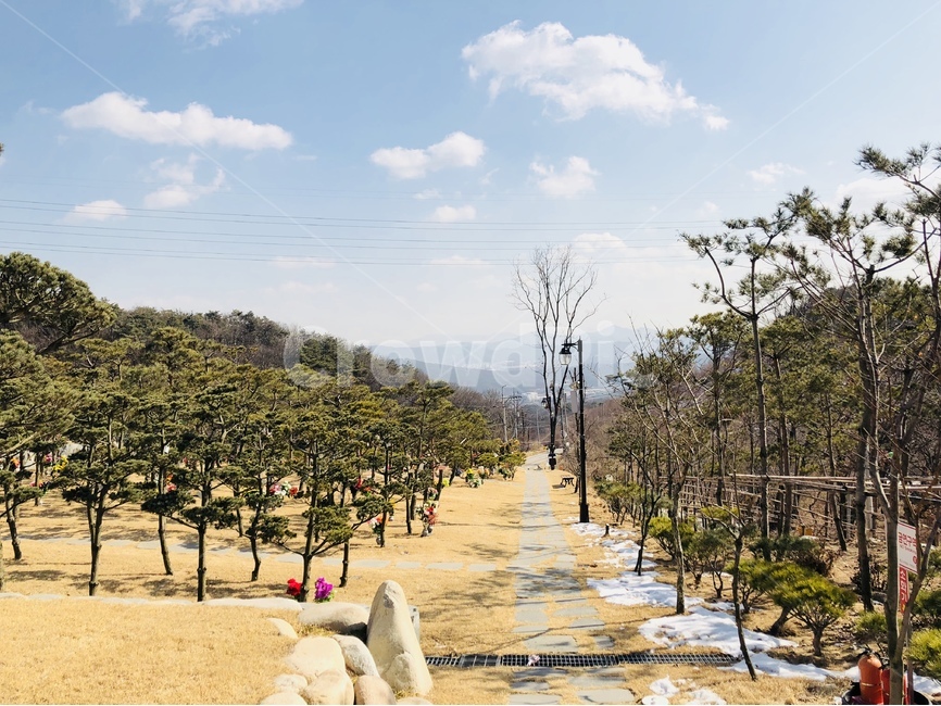 봄,여름,납골당,맑음,추억,자연,풍경,nature,landscape,tree,나무,plant,식물