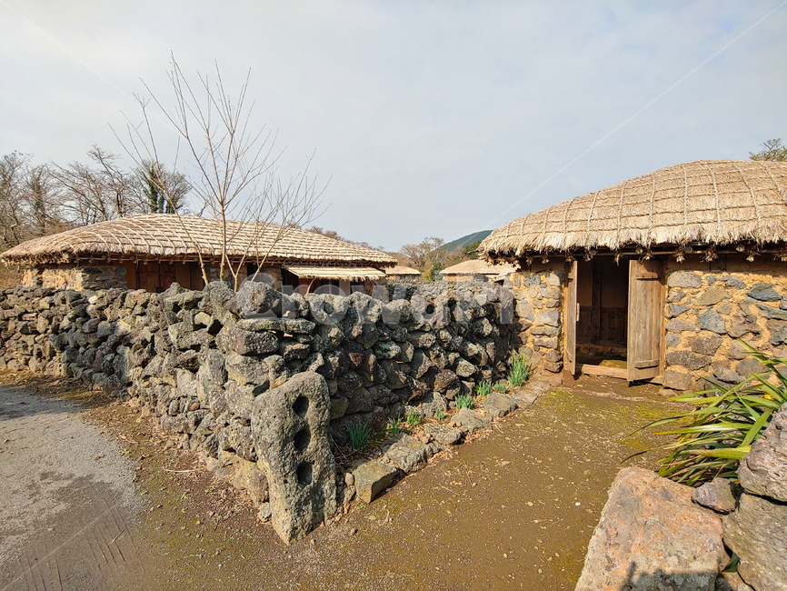 제주도,제주,한옥,초가집,제주초가집,집,건물,야외,제주도,jeju,jeju island,한국전통,한국문화,korean traditional,korean culture