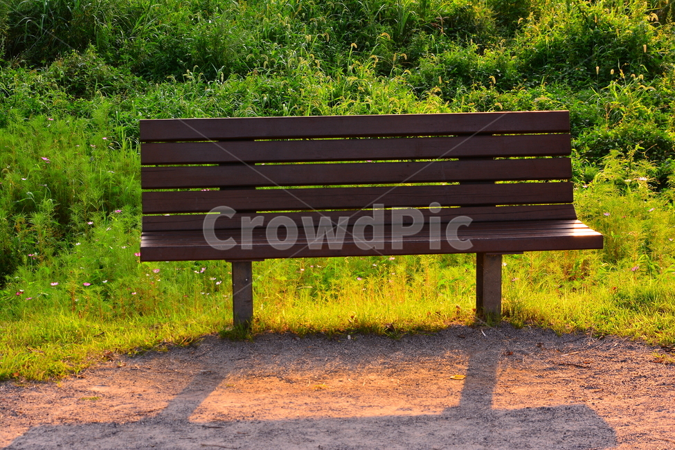 벤치,의자,나무의자,쉼터,휴식,빈자리,relaxation,rest,쉼,쉬어가는곳,힐링,여유,명상,산책,bench,leisure,sit,chair,풍경,앉다,자리,편안한,공원,healing,늦은오후,휴식,힐링,rest,relaxation,healing