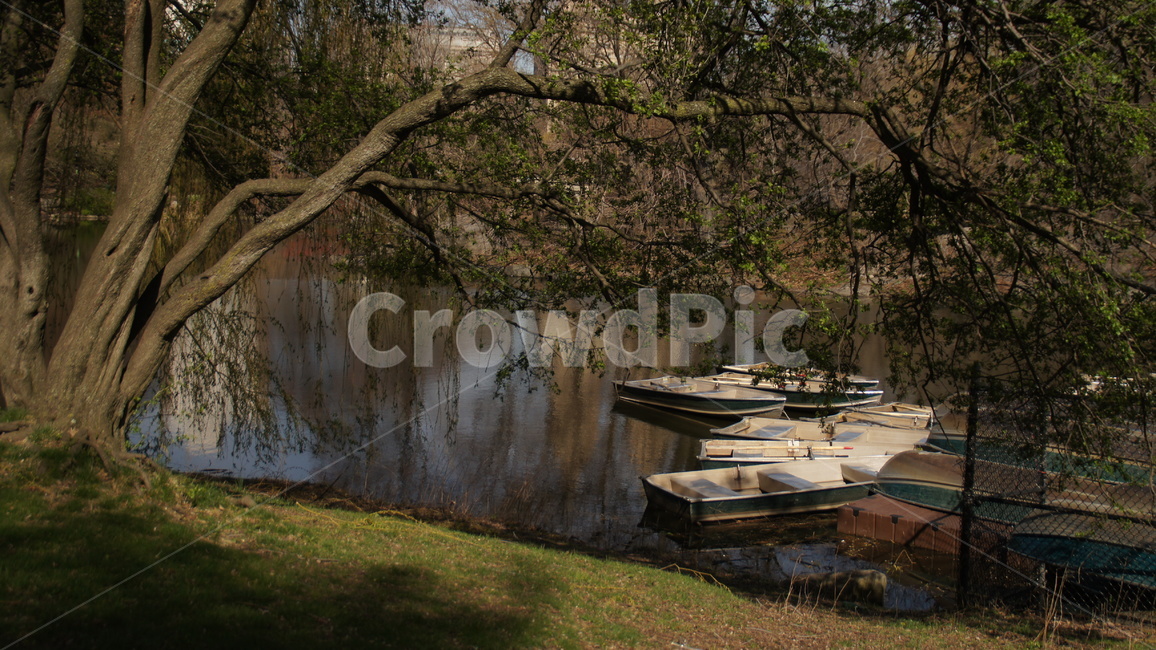 자연,풍경,호수,나무,보트,자연,풍경,nature,landscape,watercraft,선박,vehicle,차량,transportation,교통