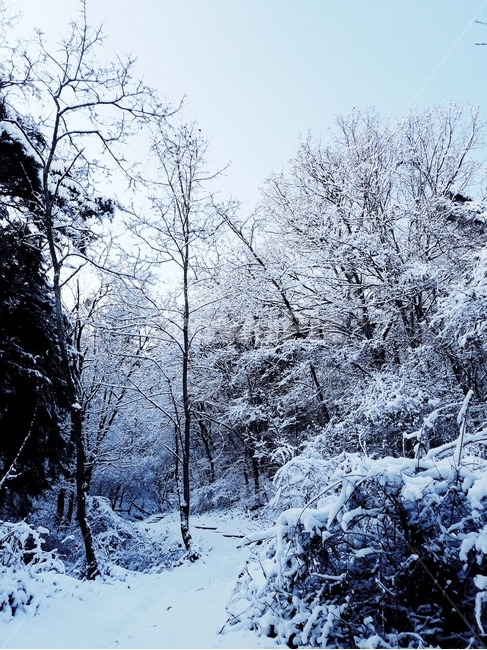 눈,겨울산,겨울산행,겨울,계절