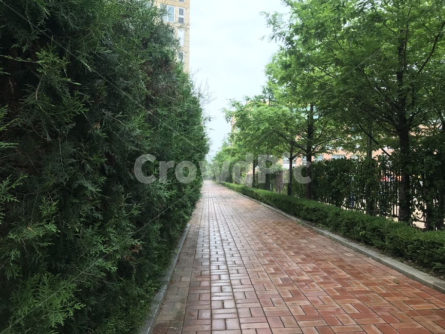 산책로,길,통로,보도,path,walkway,flagstone,풍경,나무