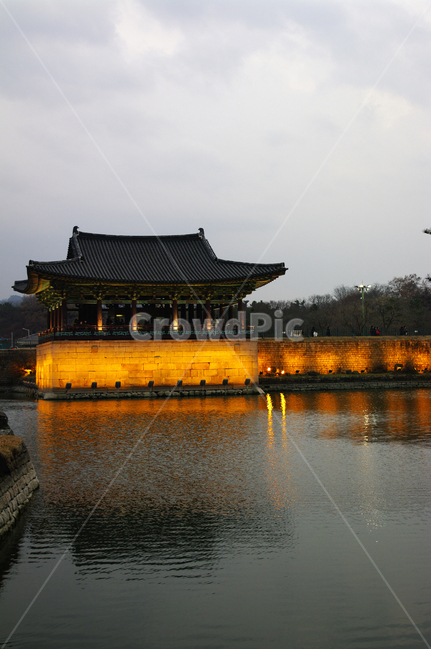 안압지,연못,경주,건축,지붕,traditional,전통,조명,빛,나무,야경,밤,풍경,nightscape,night,landscape,한국전통,한국문화,korean traditional,korean culture,랜드마크,landmark,tourist attraction,한국랜드마크,한국관광지,한국명소,korea landmark,korea tourist attraction,건축물,건물외관,exterior,building,structure,architecture,construction