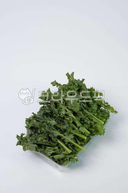 치커리,쌈,쌈채소,식재료,신선식품,식품,채소,야채,음식,식재료,요리,food,cook,meal,dishes,food reserves