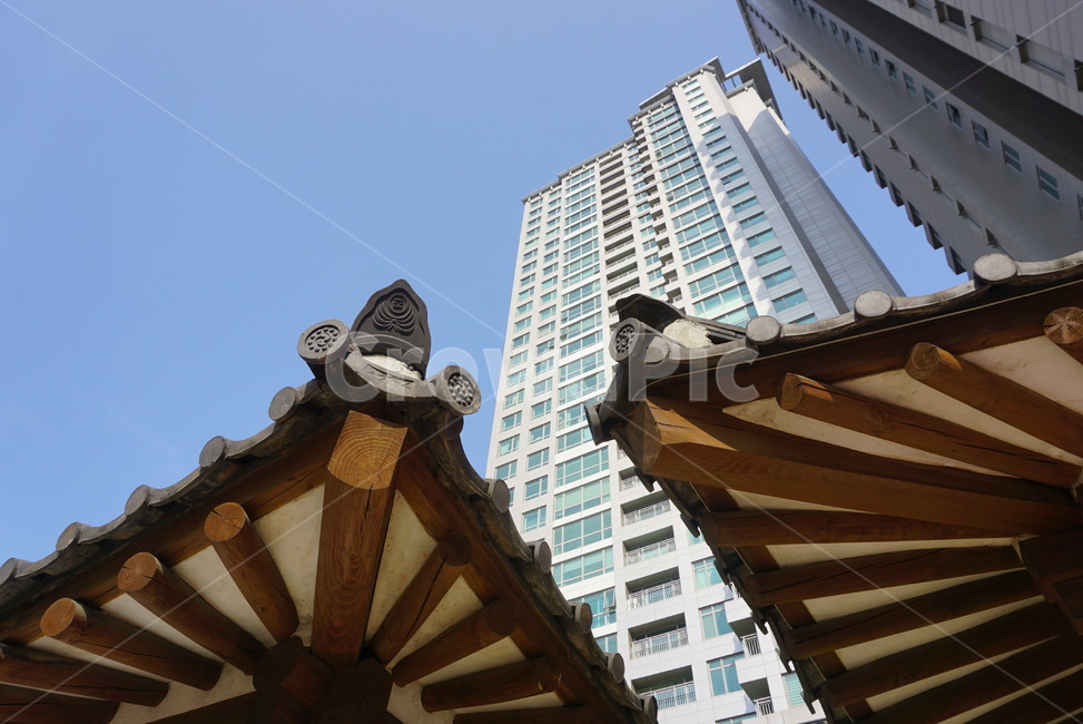 아파트,지붕,한옥,처마,대비,고층,현대,전통,비교,건물,building,건축물,기와,서까래,주택,목조주택,고택,건축물,건물외관,exterior,building,structure,architecture,construction