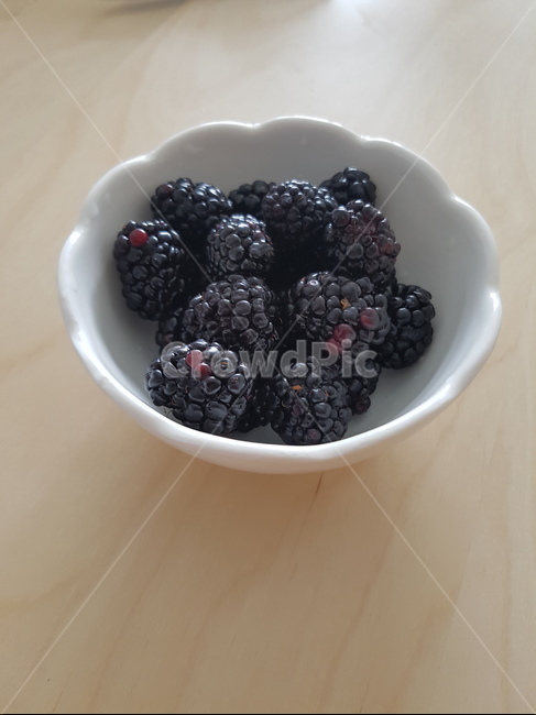 과일,블랙베리,접시,검붉은색,식물